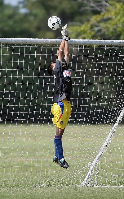 的多样性提 的多样性提