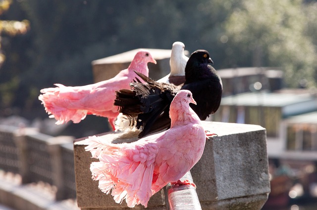 U22国足备战韩国队:激烈比赛,多黄牌事件.