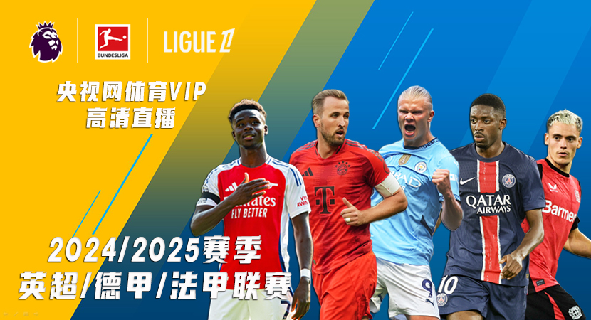 反观辩护律 反观辩护律