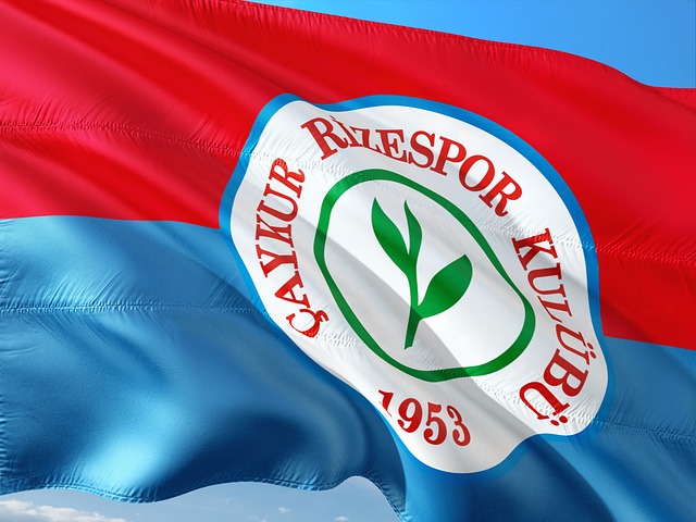 到正式传票 到正式传票